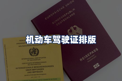 机动车驾驶证排版